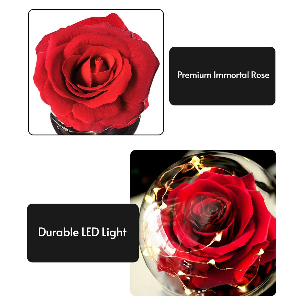 Rose Lamp Red Silk Rose In Glass Dome With Warm/ Colorful