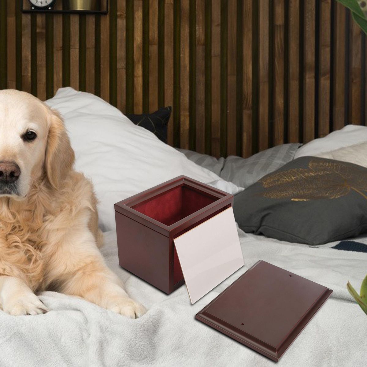 Scratch Resistant Pet  Cremation Urns Photo Frame For Funeral