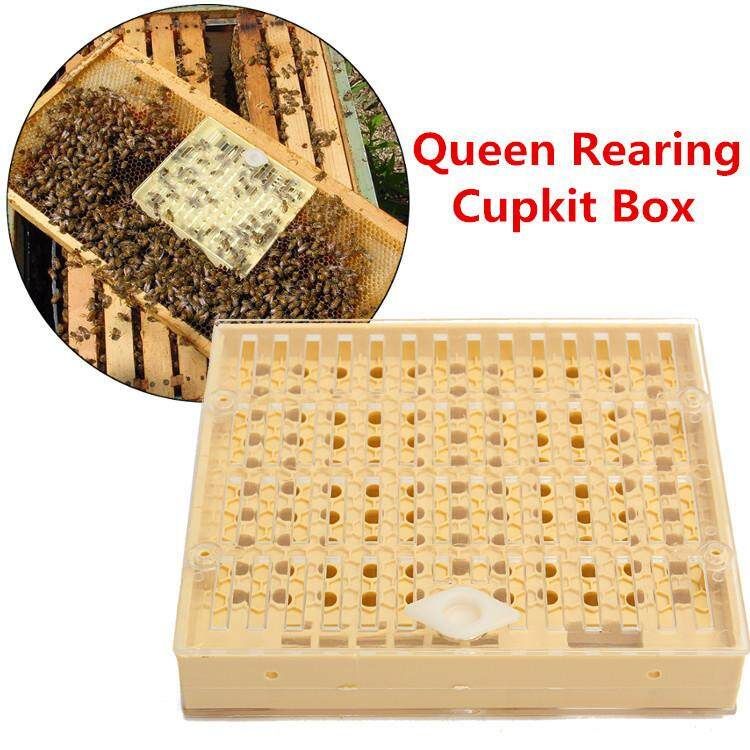 131PCS Queen Rearing System Cultivating Box Bee Catcher Cage Beekeeping Tool Kit