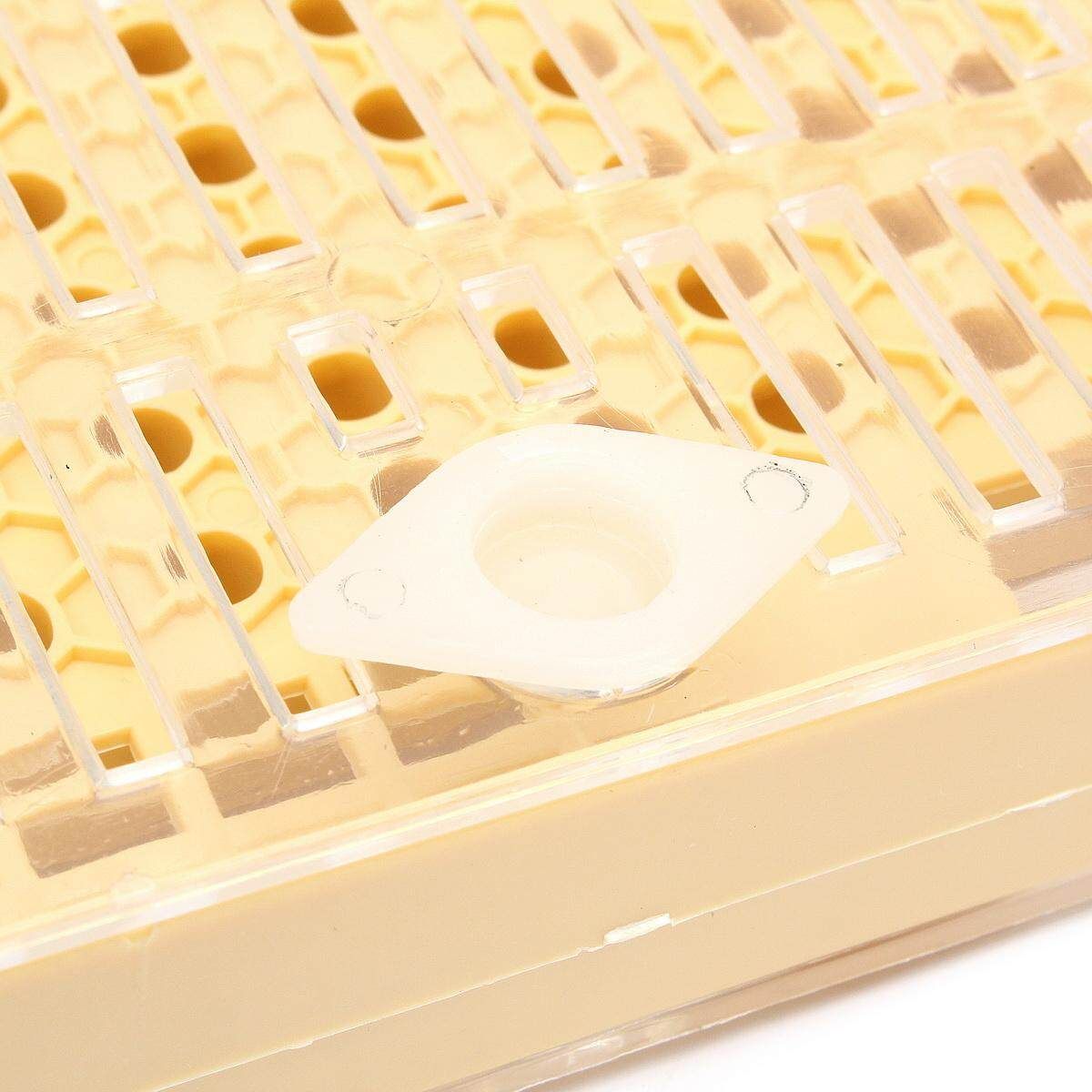 131PCS Queen Rearing System Cultivating Box Bee Catcher Cage Beekeeping Tool Kit