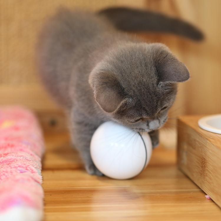 Pet cat automatic toy ball LED luminous random ball USB cat teasing ball White charging