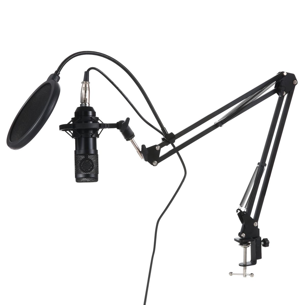 Suspension Microphone Kit Professional Sound Card & Microphone & Mic Arm Bracket Set F998 Live Soundcard BM800 Condenser Microphone Shock Proof Holder Windshield Pop Filter Boom Arm for Studio Recording Live Video Broadcastin
