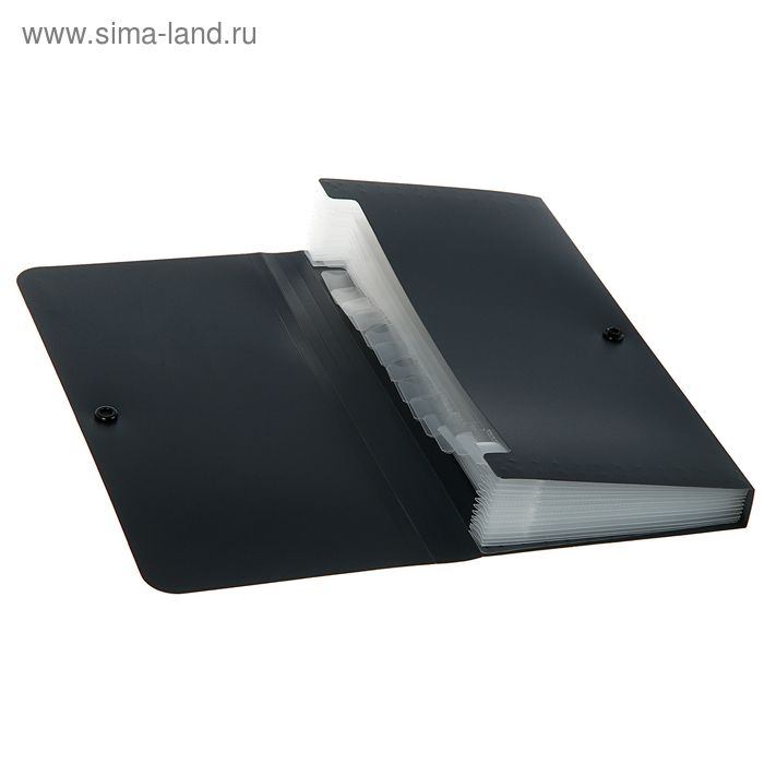 MINI EXPANDING FILE - CLASSIC, BLACK (12 POCKETS)