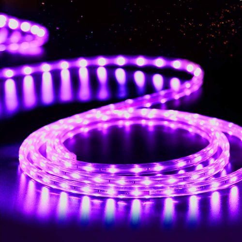LED Rope Lights - Purple