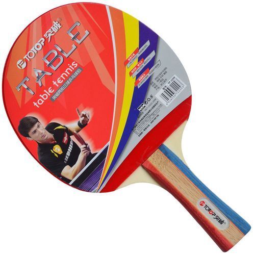 Ping Pong Paddle & Table Tennis Set