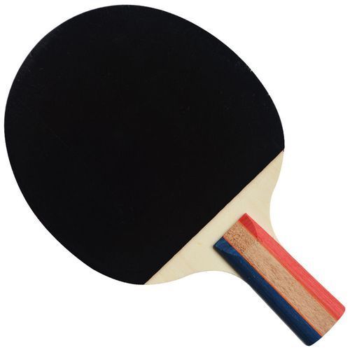 Ping Pong Paddle & Table Tennis Set