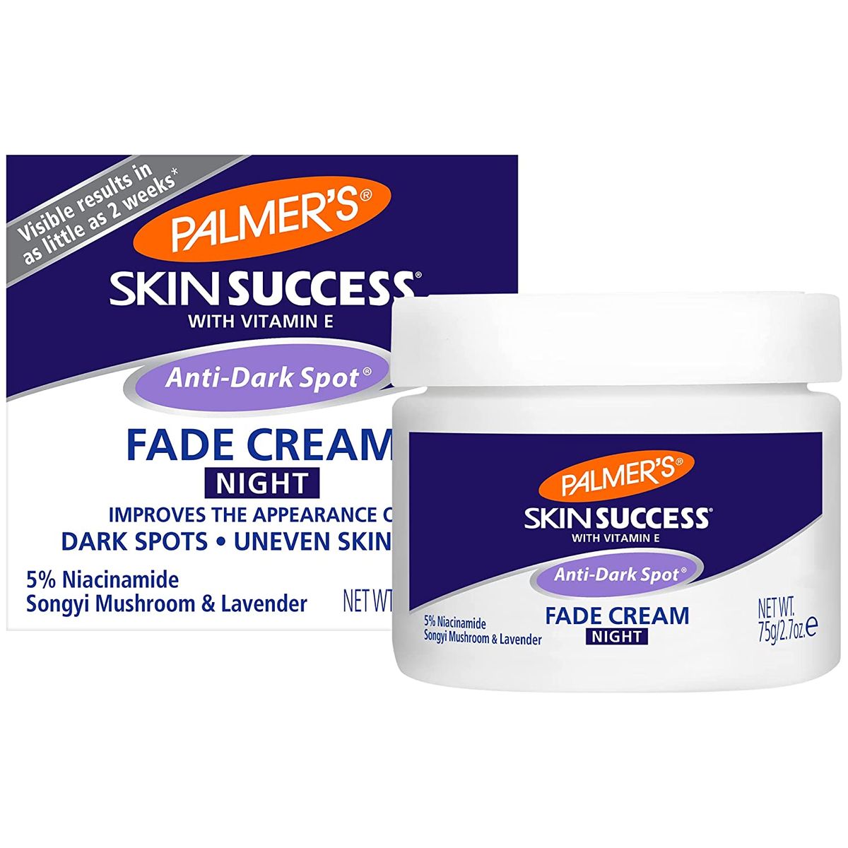 Skin Success Anti-Dark Spot Fade Cream Night 75g
