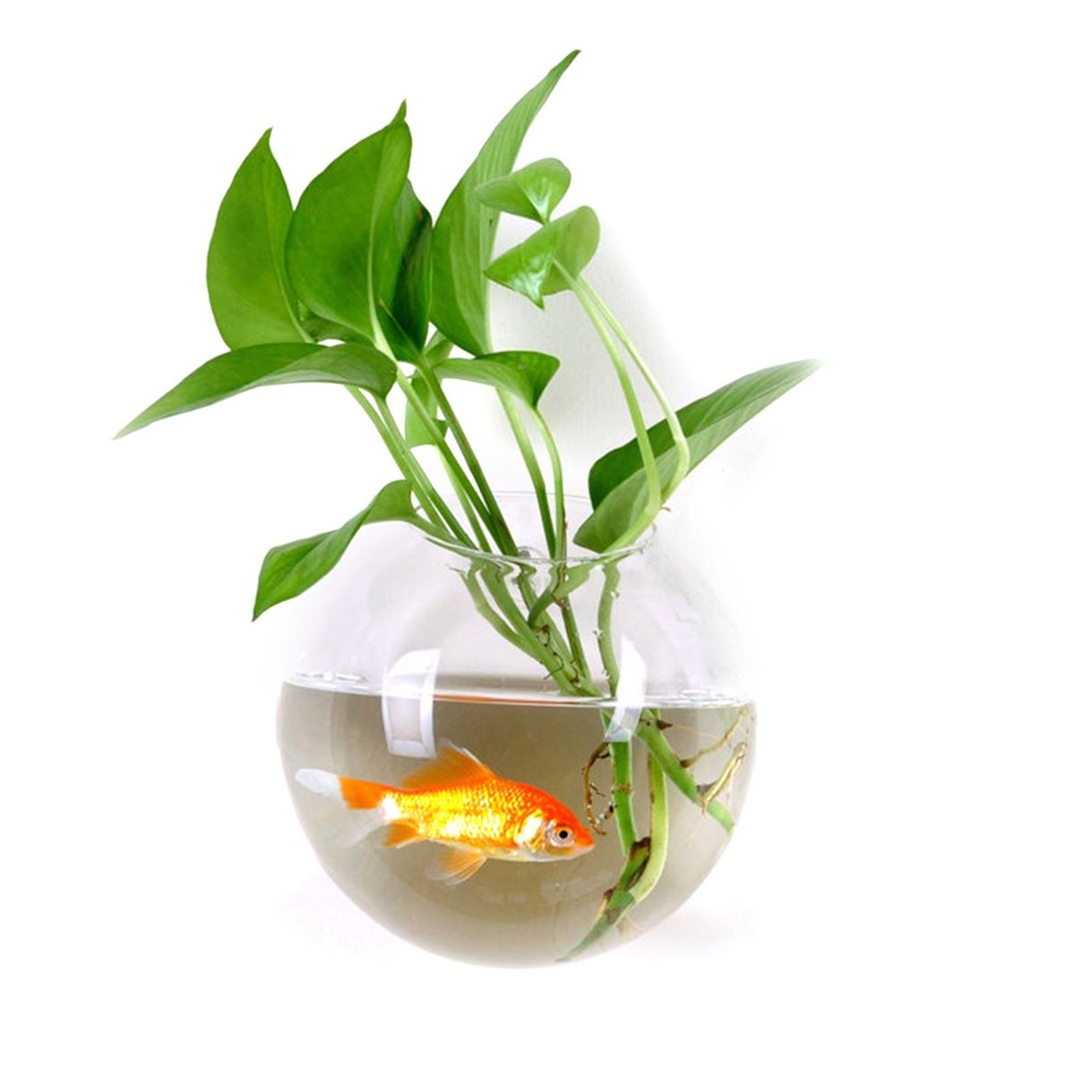 Hydroponic Vase Flower Water Drop Heart Shape Transparent