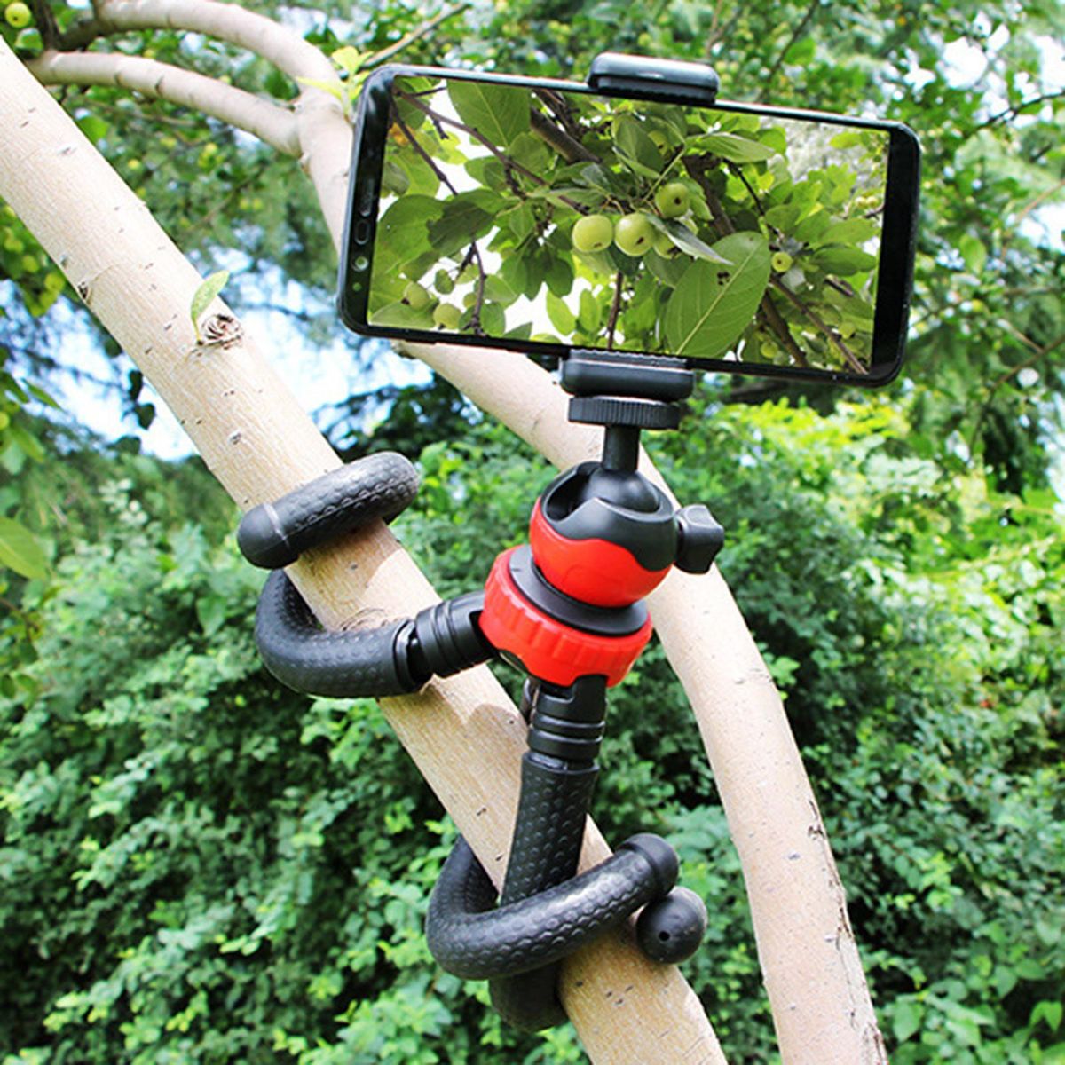 1 Set Phone Tripod Horizontal Vertical Selfie Live Tripod B