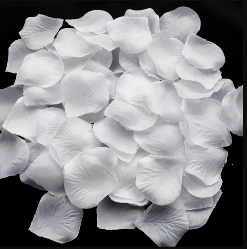 White Rose Petals Flowers For Wedding And Events -100 Pieces