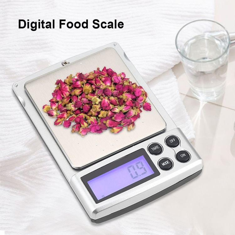 Digital Pocket Scale (500g / 0.1g)