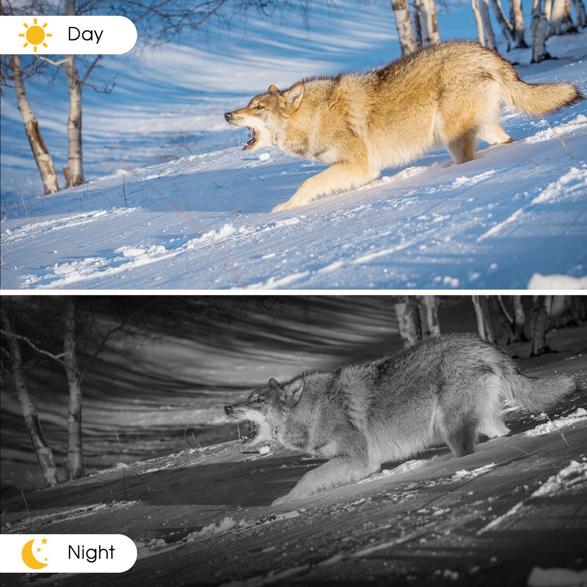WiFi Trail Camera 4K 36MP BT App Control Hunting Camera