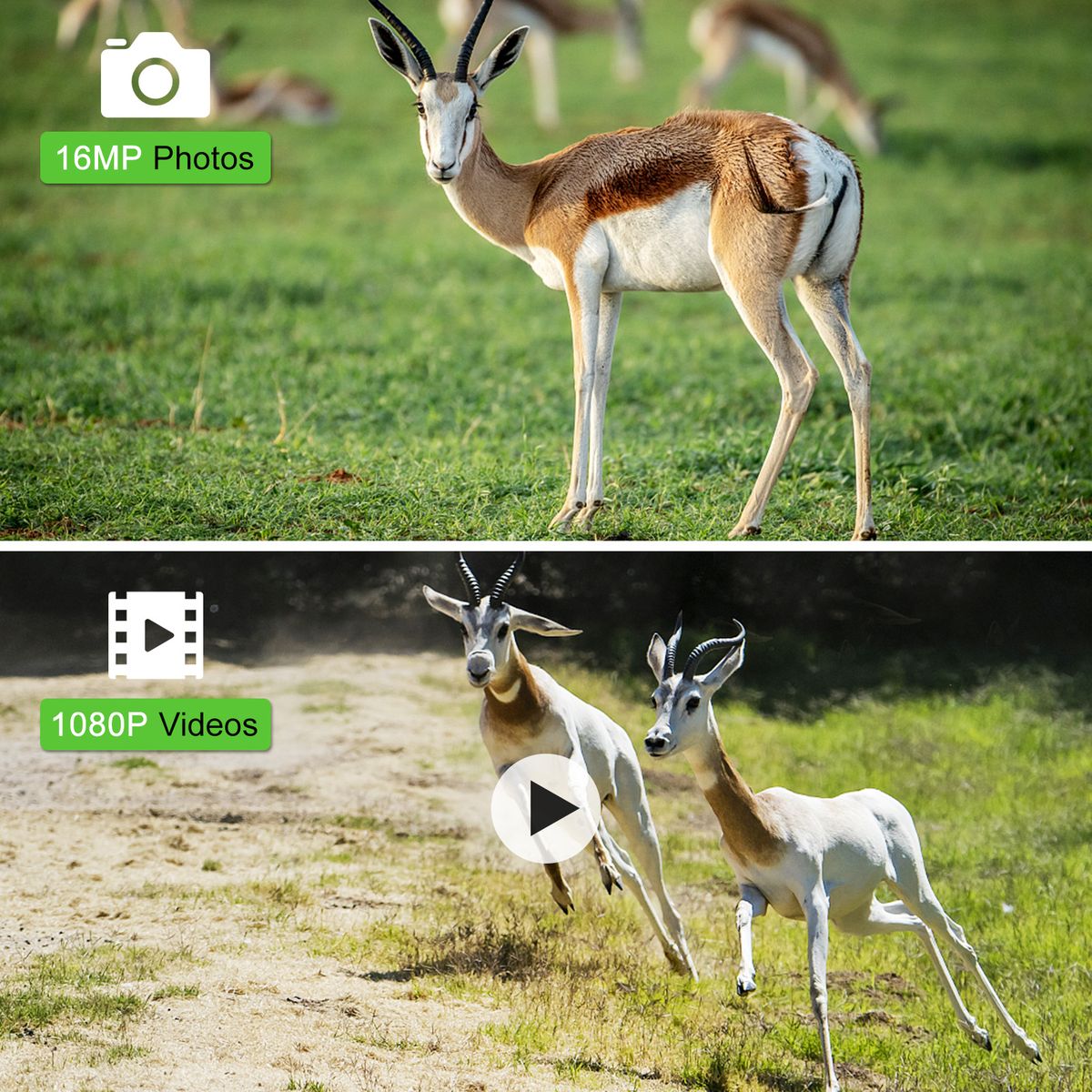 16MP 1080P Trail And Game Camera Hunting Camera Outdoor
