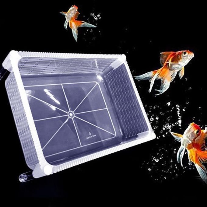 Plastic Mini   Tank Aquarium Mini Betta Breeding Feeding   Tank