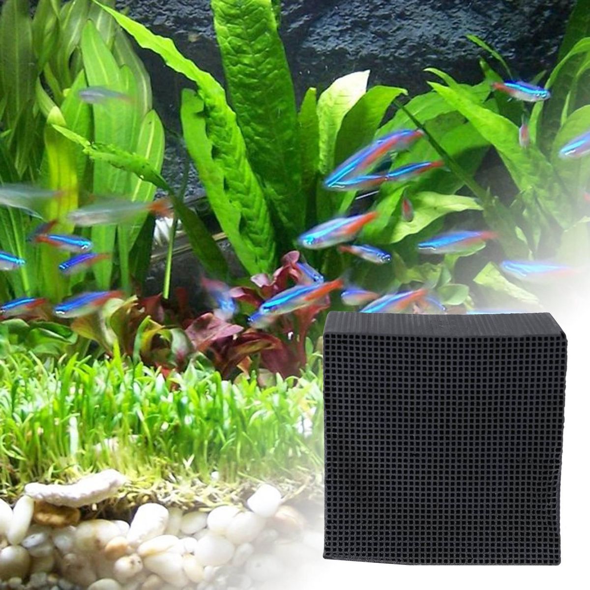 Activated Carbon Water Filter Honeycomb Absorption Filter