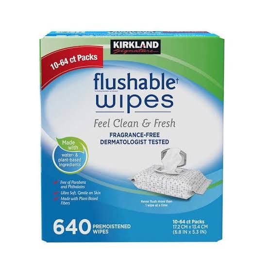 Flushable Wipes - 640counts