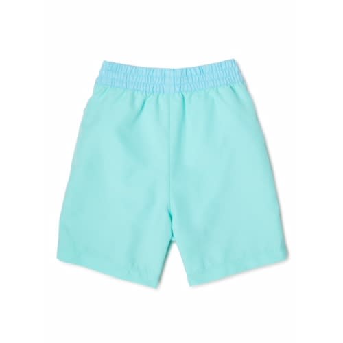 Toddler Boys Solid Swim Trunk Shorts - Aqua