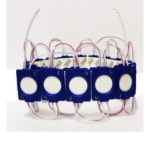 Module Light - 10 bulbs