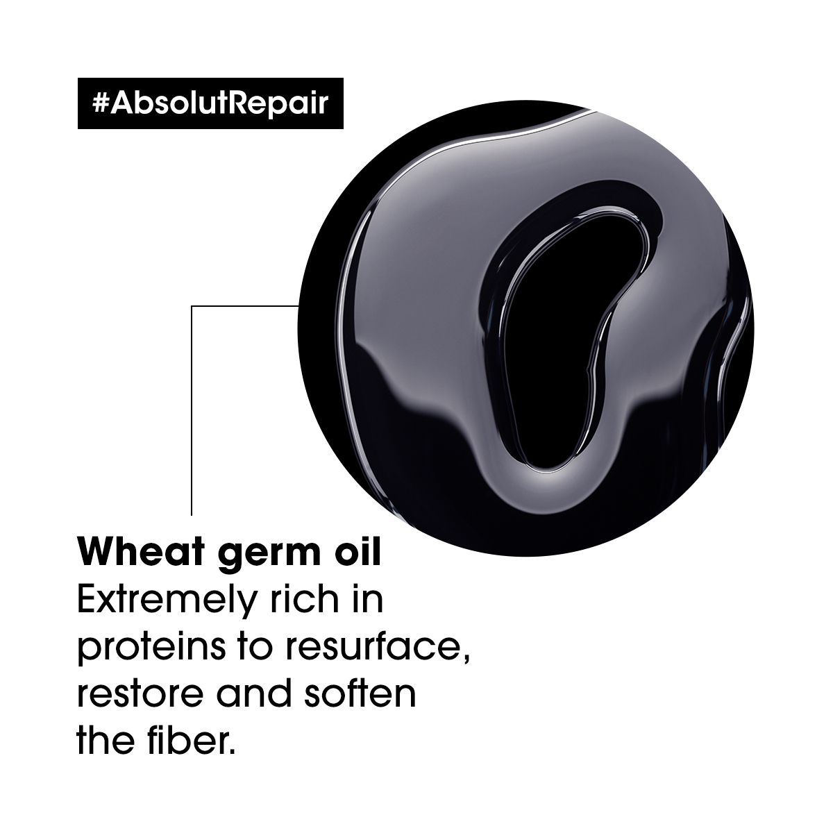 Absolut Repair 10 In 1 Leave In Oil
