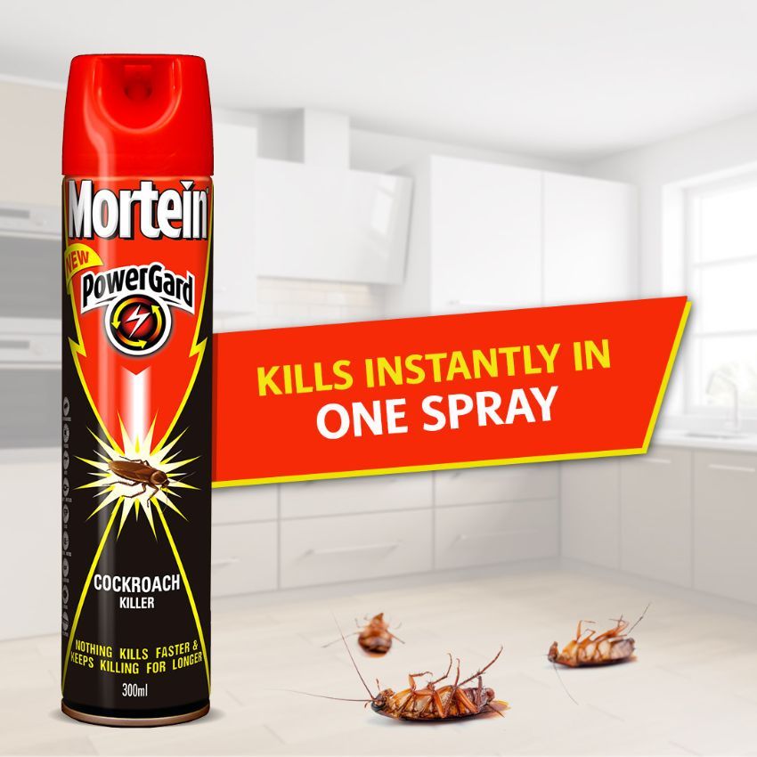 Cockroach Killer (Powergard Insecticide) - 300ml (Mortein)