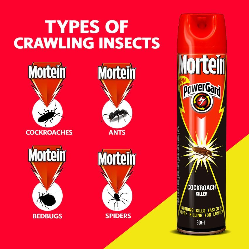 Cockroach Killer (Powergard Insecticide) - 300ml (Mortein)