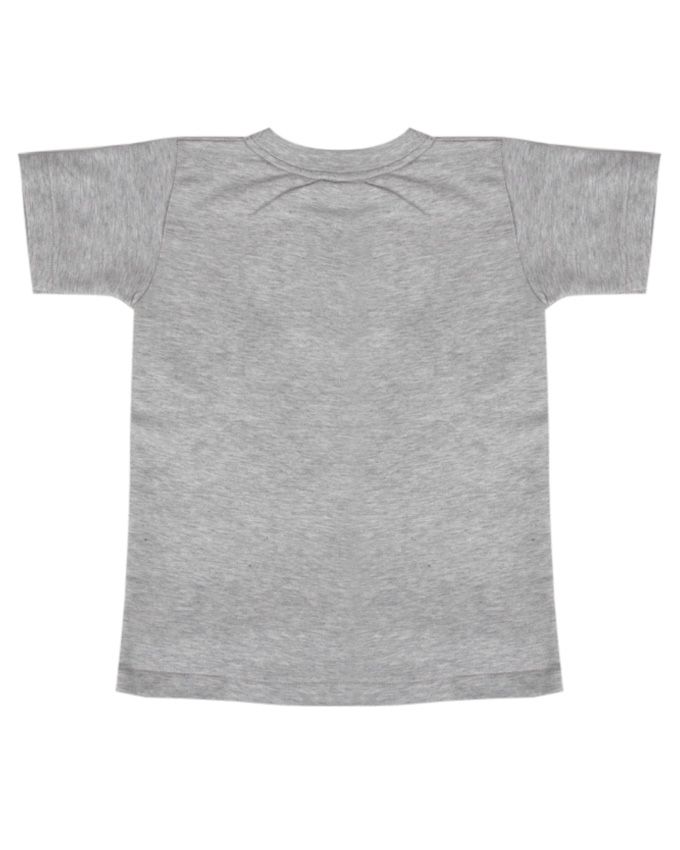 Birthday Boy Printed Children T Shirt- Light Grey