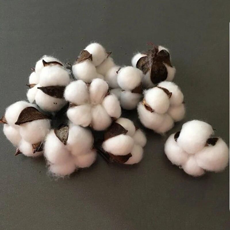 10pcs/set 5 Cm Diam Natural And Synthetic Blend Cotton Bolls Balls For Wreaths Decorations For Home 770724