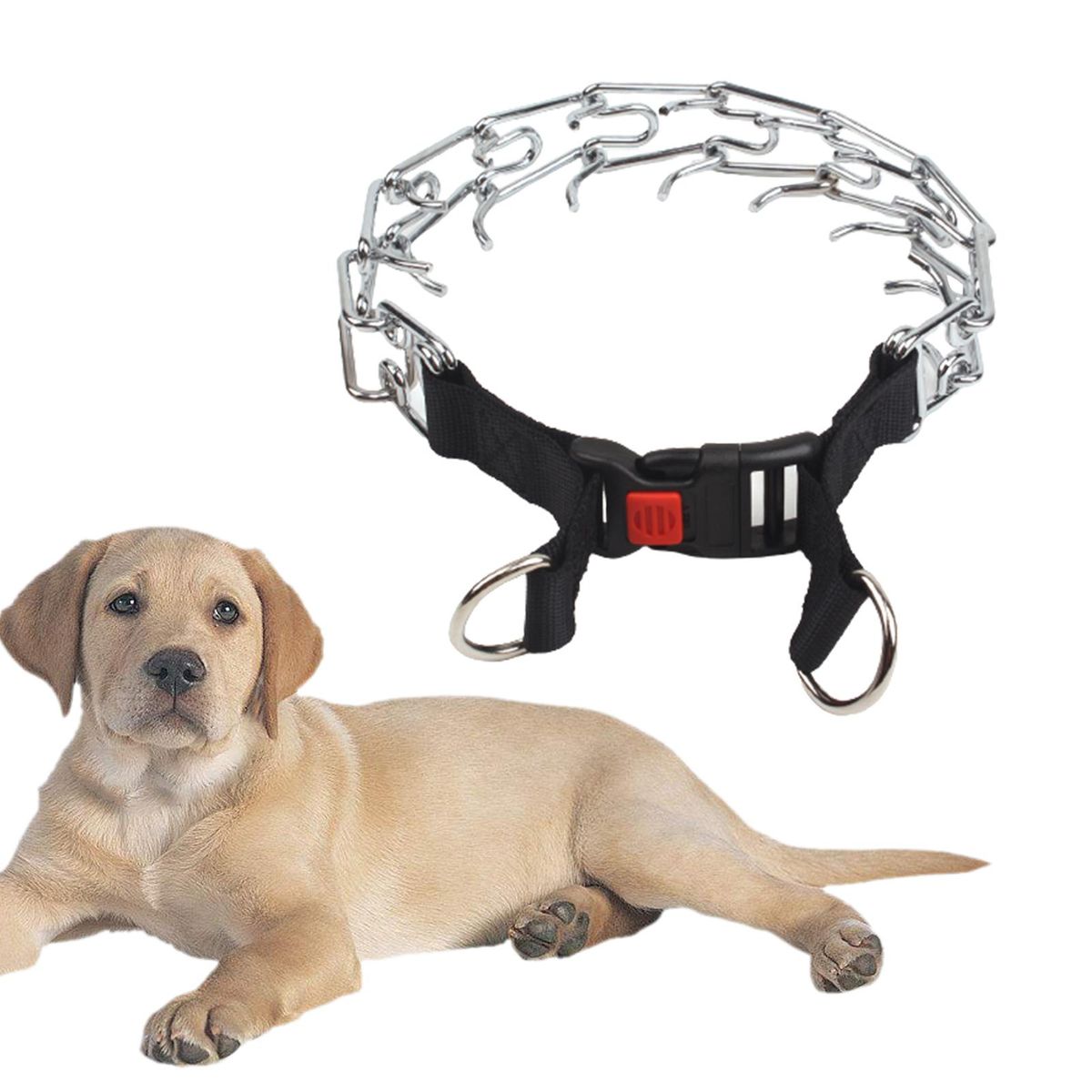 Dog Training Chain Collar Adjustable Prong Pinch