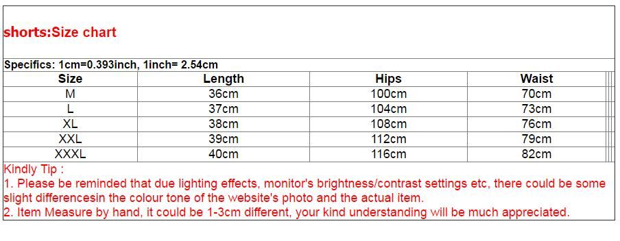 Men Quick Dry Briefs Beach Shorts Swimwear