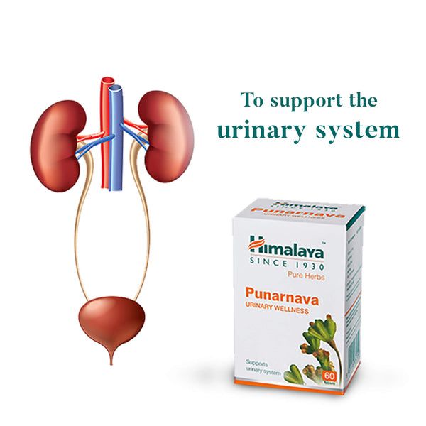 Punarnava (Urinary Wellness) -60Caps