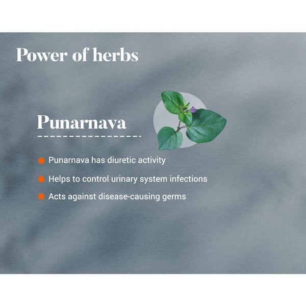 Punarnava (Urinary Wellness) -60Caps