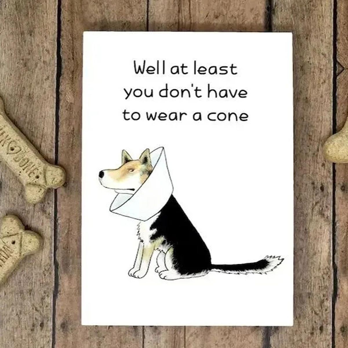 Love Friendship Cards Cheerful Canine Soon Cards 4 Pack Funny for Dog