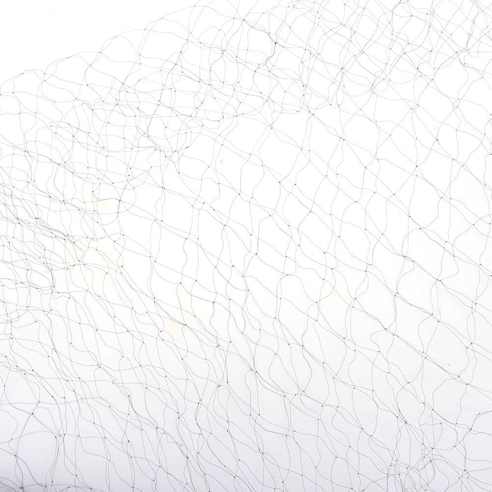 Anti Bird Bird-Preventing Net Netting Mesh For Fruit Crop
