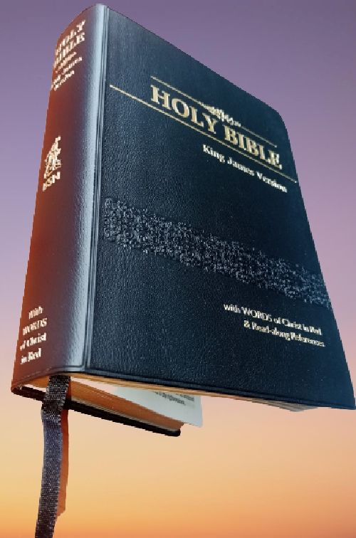 KJV Large Print With Words Of Christ In Red & Read Along References,All Year Bible Reading Planner