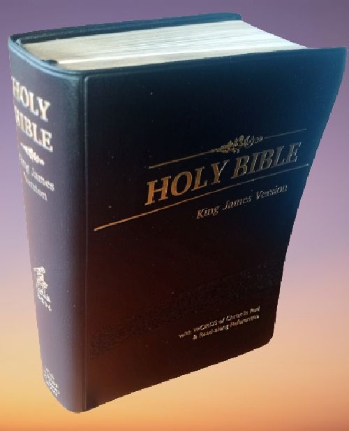 KJV Large Print With Words Of Christ In Red & Read Along References,All Year Bible Reading Planner