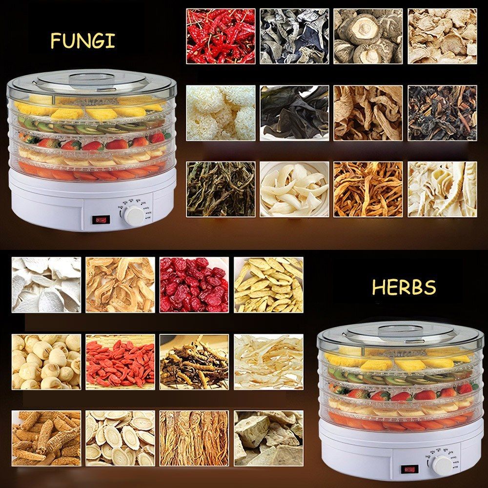 Electric Food Dehydrator Machine 5 Tray Tier Fruit Dryer