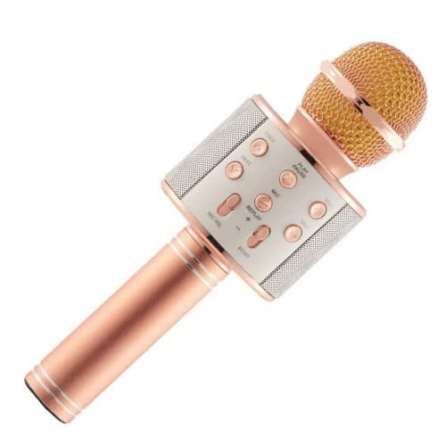 Wireless Bluetooth Karaoke Microphone Hifi Speaker