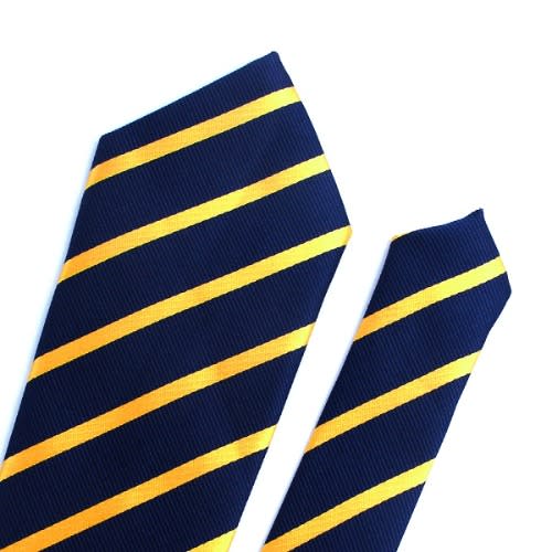 Men's Striped Neck Tie - Blue