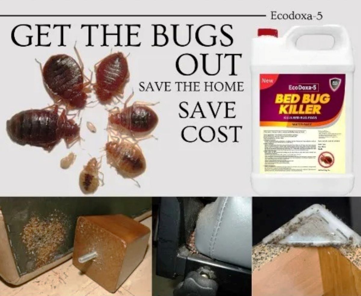 ECODOXA-5 BEDBUG KILLER