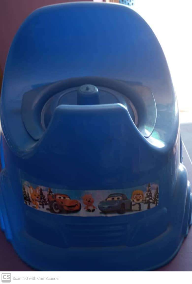 Toilet Training Potty Seat With Closing Lid