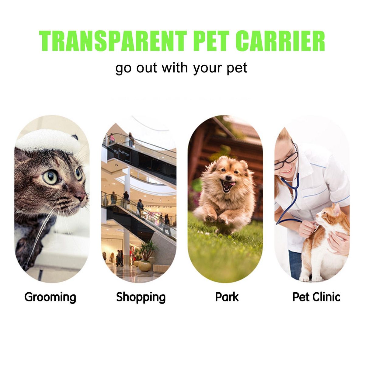 Pet Carrier for Cats Transparent Totes with Mesh PVC Bags
