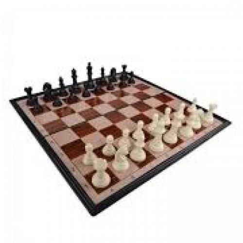 Brains Magnetic Chess Board Medium