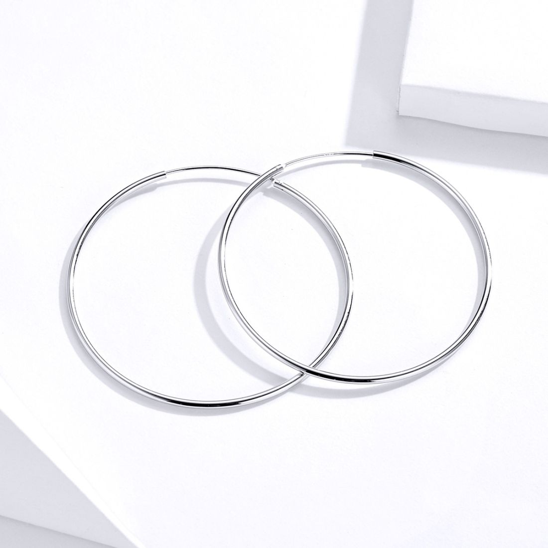 Big Circle Earrings
