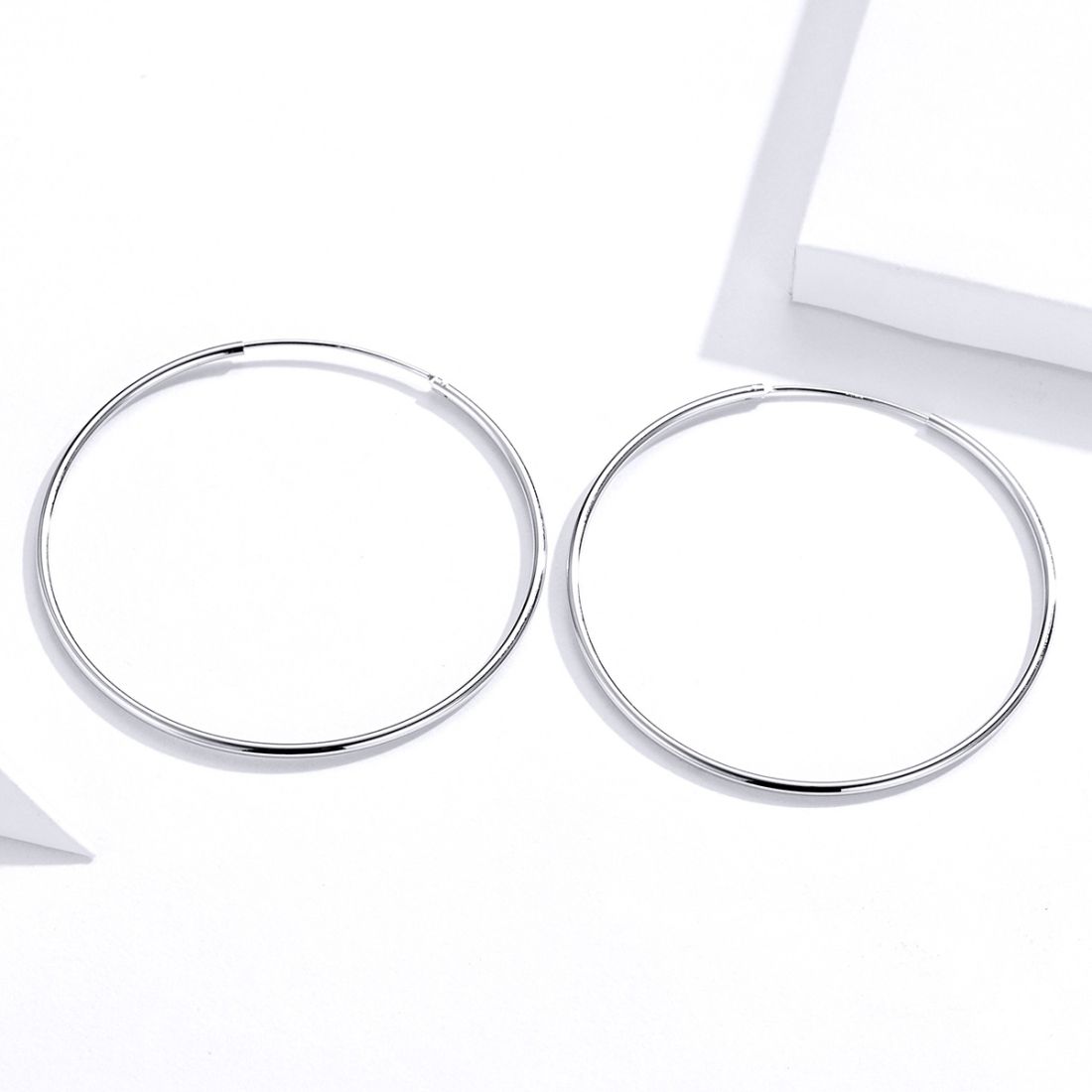 Big Circle Earrings