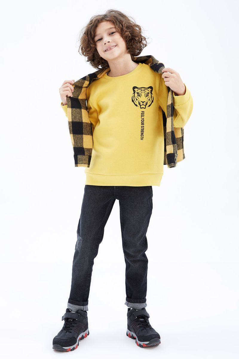 Boy - Crew Neck Long Sleeve Regular Fit Knitted Sweat Shirt-Yellow