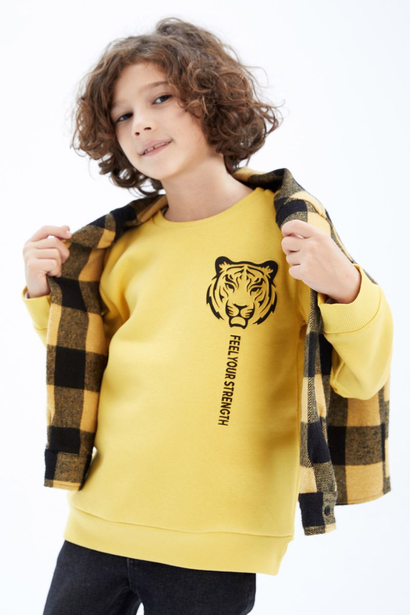 Boy - Crew Neck Long Sleeve Regular Fit Knitted Sweat Shirt-Yellow
