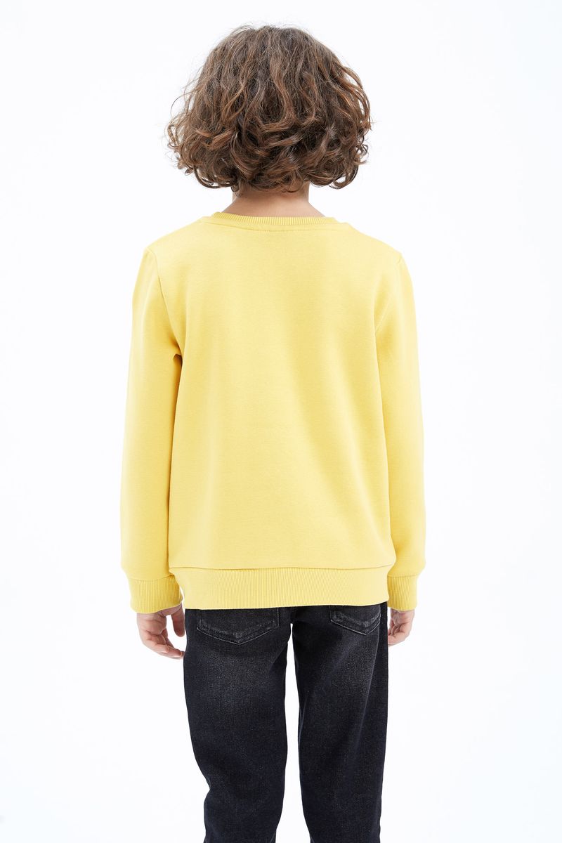 Boy - Crew Neck Long Sleeve Regular Fit Knitted Sweat Shirt-Yellow