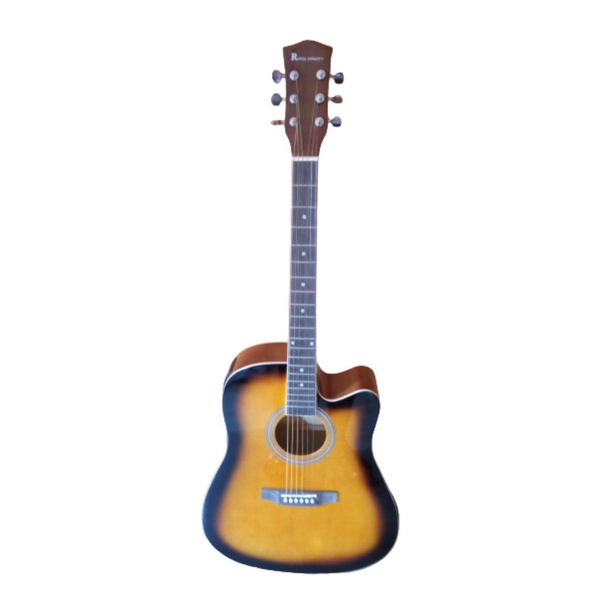Pro Electro Acoustic Semi Electric Guitar