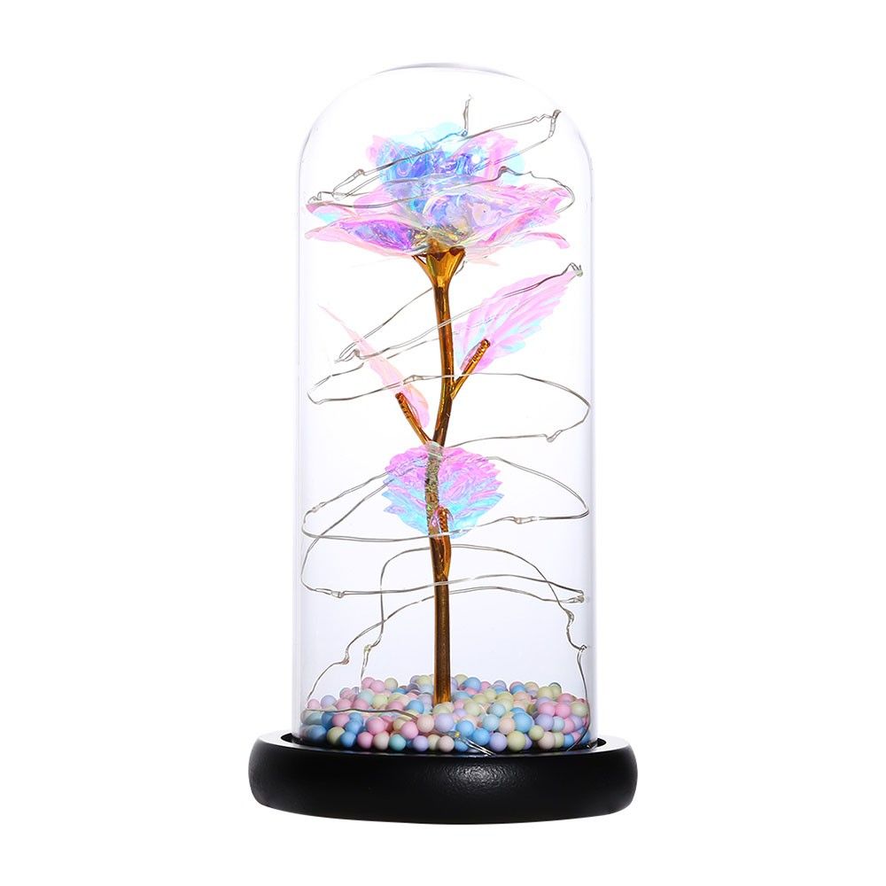 Color String Light Glass Cover Gold Foil Rose Flower Home