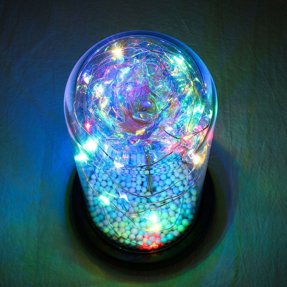 Color String Light Glass Cover Gold Foil Rose Flower Home